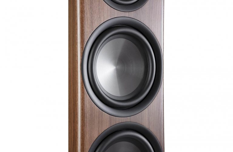 Polk Audio Reserve R700 (Brown) НЧ диффузор